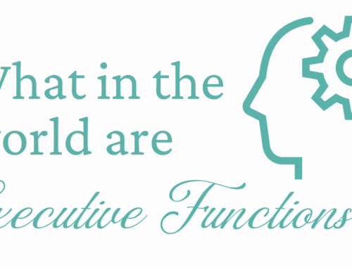 What in the world are ‘Executive Functions’?